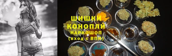 прущие грибы Инта