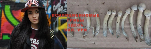 Альфа ПВП Арсеньев