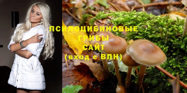 Альфа ПВП Арсеньев